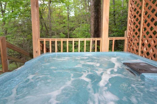 #3690 Bear Creek Lodge Hatchertown Luaran gambar
